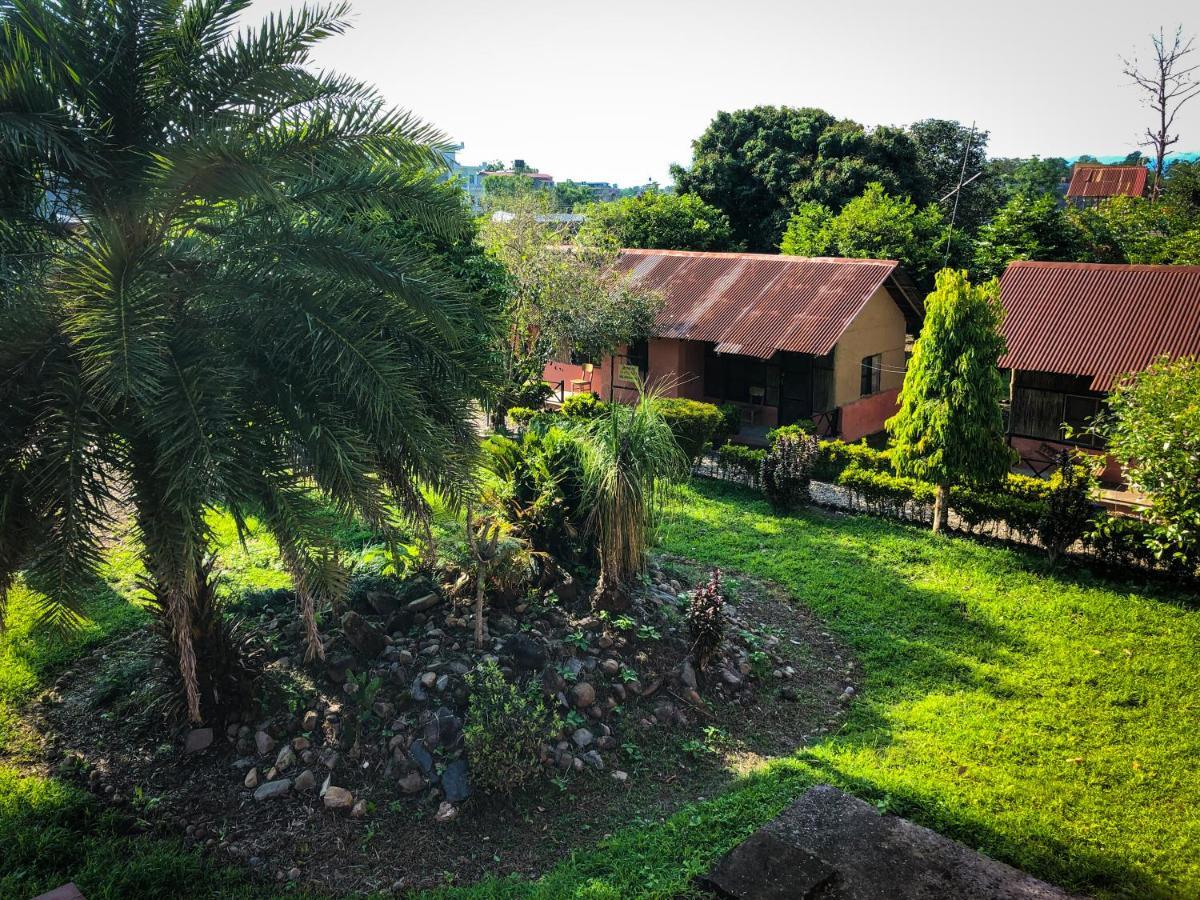 Hotel Tharu Garden, Sauraha Zewnętrze zdjęcie