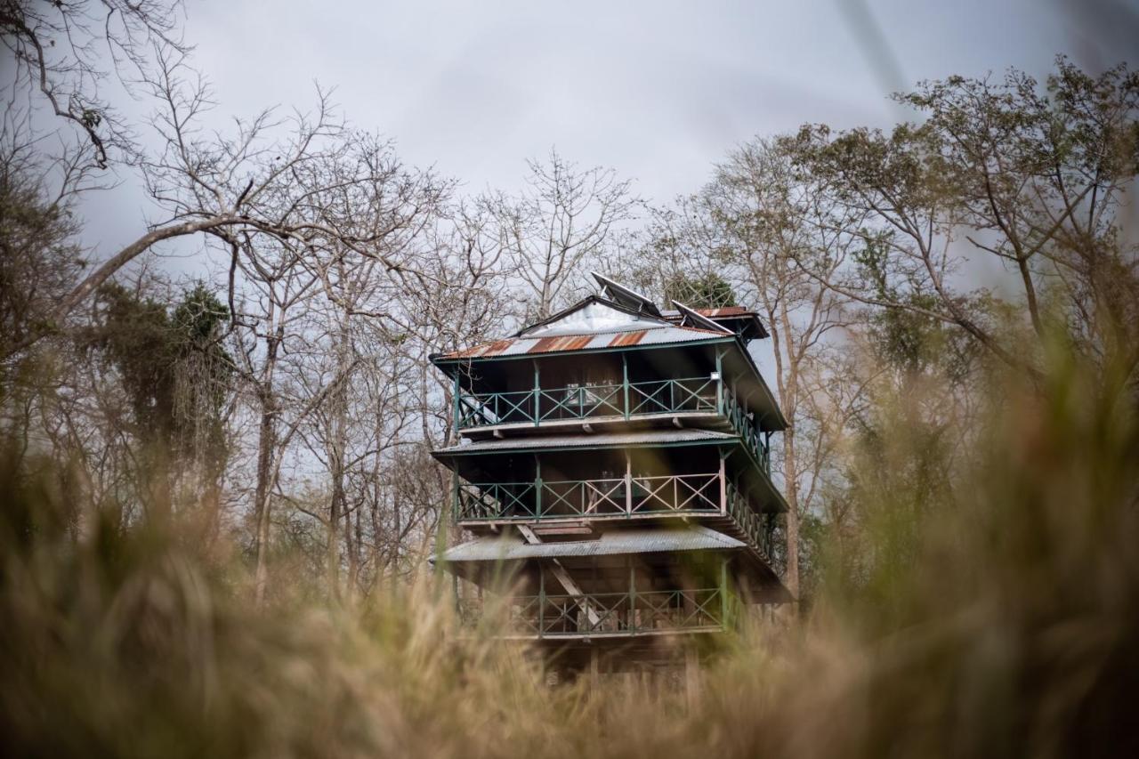 Hotel Tharu Garden, Sauraha Zewnętrze zdjęcie
