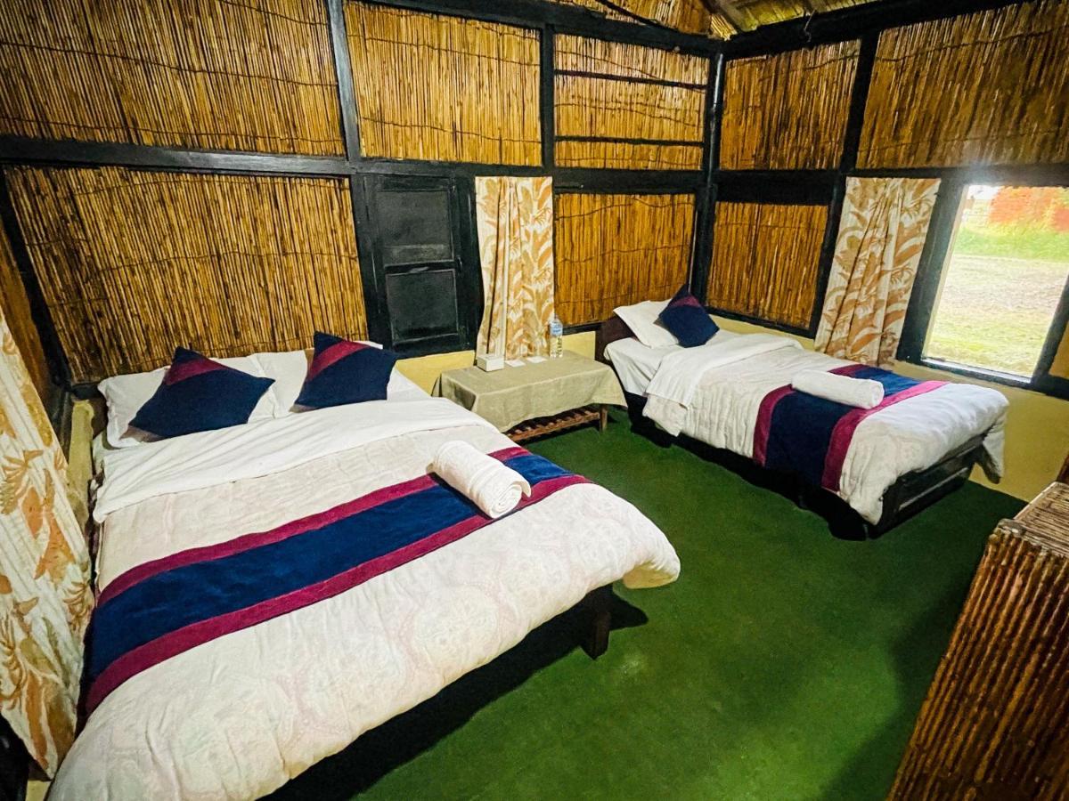 Hotel Tharu Garden, Sauraha Zewnętrze zdjęcie