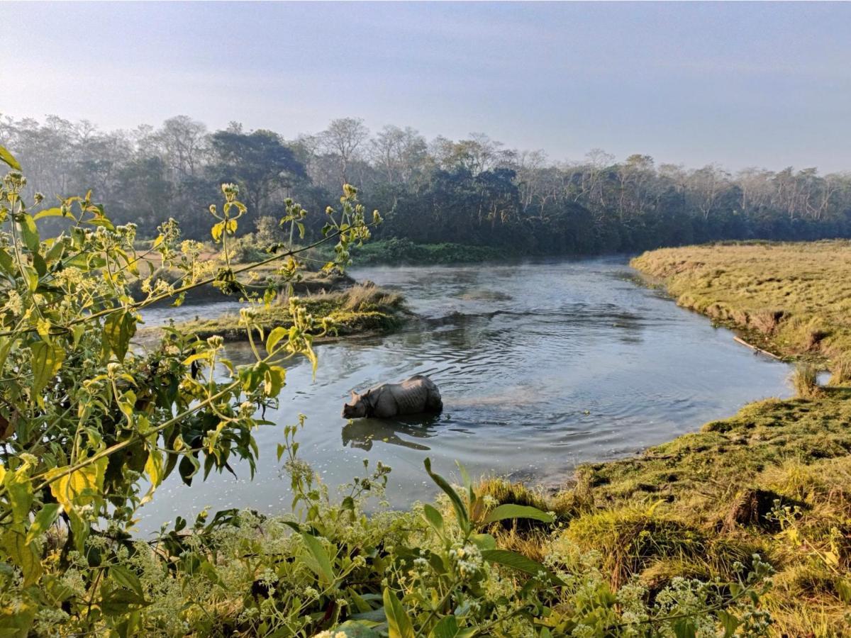 Hotel Tharu Garden, Sauraha Zewnętrze zdjęcie
