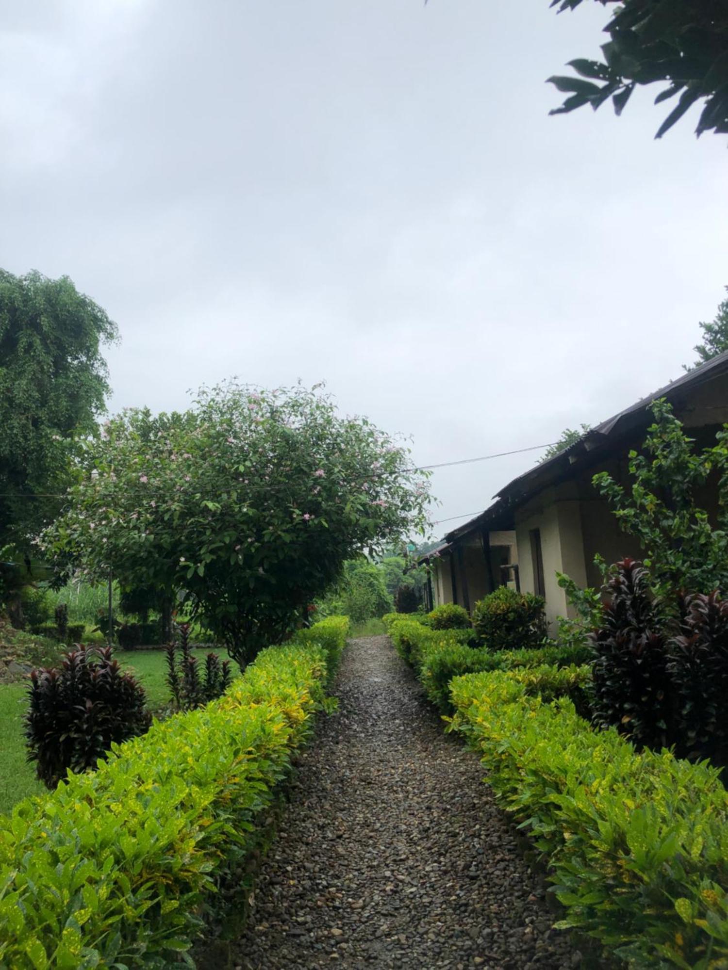 Hotel Tharu Garden, Sauraha Zewnętrze zdjęcie